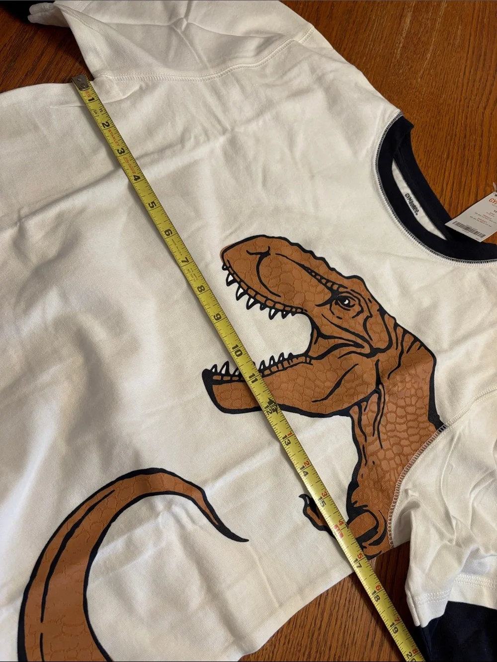 Gymboree White Long Sleeve Tee with Layered Look Sleeves and Dinosaur Graphic
